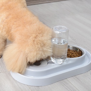 ancrowd.cl automático 500ml dispensador de agua gato perro alimentador de alimentos tazón para mascotas (2)