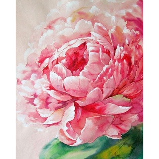 welcome peony flor 40x50cm pintura al óleo por números imagen diy pintura m753 (2)