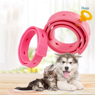 Hequ Cute Cat flea mosquito repellent collar Size Adjustable Effective Removal Of Fleas Lice Mites Mosquitoes Color Pink (1)