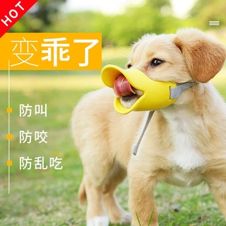 La boca del perro contra la mordedura es comer puede beber pequeña mascota perro cubierta de la boca