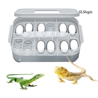 Sxx_Pet reptil lagarto Gecko Snake 12 rejillas de huevo crianza caja de cría incubadora (3)