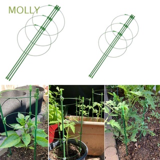 molly hot vine escalada rack suministros de jardín ajustable planta soporte marco nueva flor enrejado estante verde agricultura herramientas de jardinería (1)
