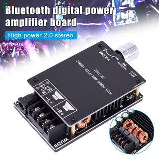 100Wx2 2 canales Módulo Amplificador Digital Bluetooth Placa Amplificador De audio con Filtro Tpa3116