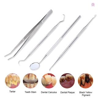 4 Piezas De Acero Inoxidable Instrumentos Dentales Boca Espejo Sonda Raspador Pinzas De Higiene De Dientes Kit De Cuidado Oral (7)