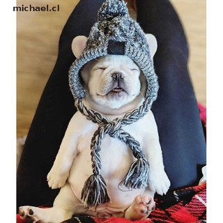 [cl] - sombrero de perro de invierno para mascotas, diseño de perro francés, perro al aire libre, cálido y a prueba de viento