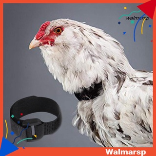 [wmp] 2 piezas de cuello de pollo anti cuervo libre de ruido gallo cinturón ajustable hebilla aves de corral suministros para patos