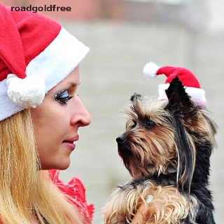 Ro1br gorro navideño De santa claus Para mascotas/cachorros/Gatos Martijn