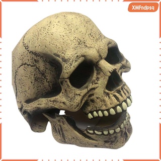realista cráneo esqueleto máscara adulto mujeres hombres capucha cabeza completa máscaras festival de halloween disfraz truco cosplay disfraz novedad juguete