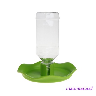 maonn reptil bebedor de agua dispensador de alimentos lavabo soporte lagarto alimentador plato tazón botella
