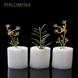 PHILOMENA White Gardening Tools Homemade Hydroponic Vegetable Planted Sponge Harmless Natural 50 pcs Soilless Planting Soilless cultivation/Multicolor