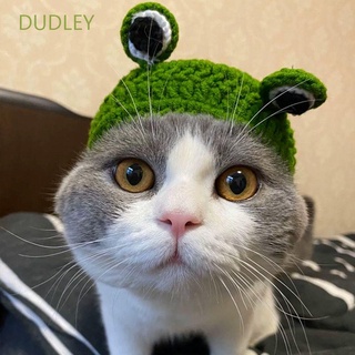 Dudley Cosplay fiesta De dibujos Animados mascotas suministros De Gato accesorios para perros sombrero rana