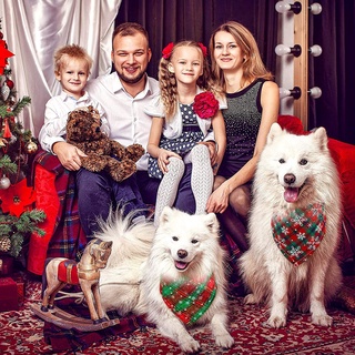 nonagesim lavable perro triángulo bandana decoración búfalo cuadros navidad perro pañuelos reversible copos de nieve algodón disfraz accesorios bufanda mascota (9)