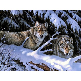 Pintura al óleo por números Animal 40*50 dos lobos Mural creativo pintado a mano descompresión pintada al aire libre bestias feroz