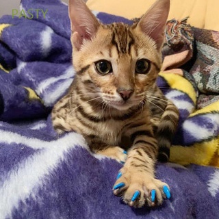 PASTY 4 colores garra de gato cubre Anti-abrazante mascotas aseo suministros gato uñas cubiertas con adhesivos aplicadores Kitty 80 piezas suave gato tapas de uñas