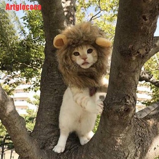 COCO mascota perro sombrero disfraz de león melena peluca para gato halloween vestir con orejas