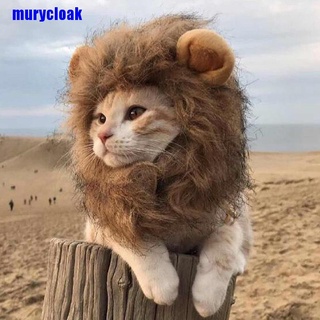 Mur lindo león melena gato peluca mascota ropa perro gato gorra sombrero Fancy disfraz Cosplay vestido