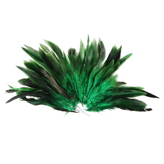 aprox. 50 pzs decoración teñida gallo pluma verde