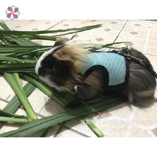 Conejillo de indias conejillo de indias conejo hámster malla cuerda de tracción pequeña mascota cinturón de tracción conejo ropa YD (1)