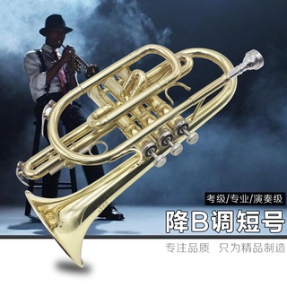 B-flat cornet trompeta instrumento de latón occidental grado