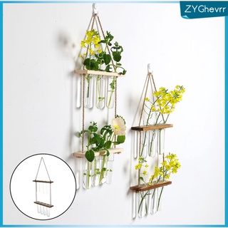 Wall Hanging Clear Glass Flower Planter Vase Terrarium Container Pot for Hydroponic Plants Home Garden Office Indoor Dcor