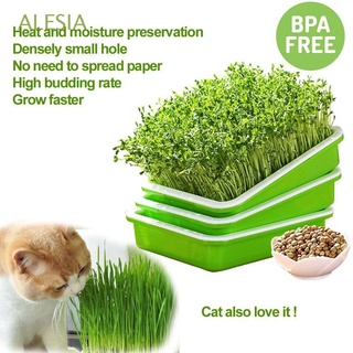 ALESIA Durable Gardening Tools Natural Hydroponic Vegetable Seedling Tray Wheatgrass Plastic Encryption Homemade Green Soilless Planting Soilless cultivation/Multicolor