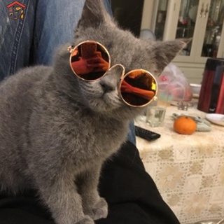 lentes de sol para mascotas/gatos de peluche/gatos/accesorios para mascotas/lentes divertidos para gatos