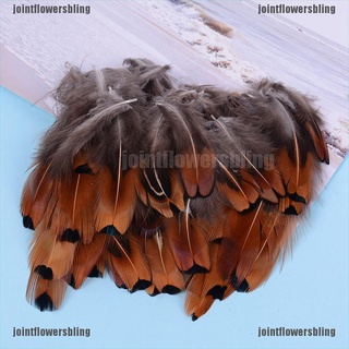 JOCL 50pcs/set pheasant feathers 4-8cm chicken plumes for carnival diy craft decor 210824