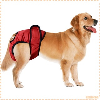 Pantalones Fisiológicos Para Perros Femal Sanitarios Pantalón Pañal Ropa Para Mascotas Negro_s (1)