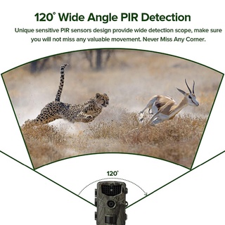 Caliente promoción 16MP 1080P caza Trail cámara vida silvestre seguimiento vigilancia seguimiento HC804A visión nocturna infrarroja cámaras salvajes foto COD