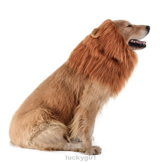 Divertida ropa de fiesta de Halloween disfraz de invierno caliente grande mascota perro peluca pelo (6)