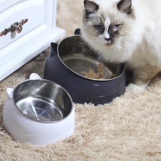 Gatos perro comida recipiente inclinado antideslizante acero inoxidable suministros para mascotas