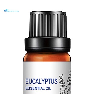 stock 10ml aceite esencial de eucalipto para el cuidado del cuerpo purificadores de aire extracto de plantas fragancia aceites (9)