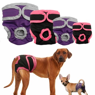 Pantalones fisiológicos Para mascotas/perros pequeños/transpirables