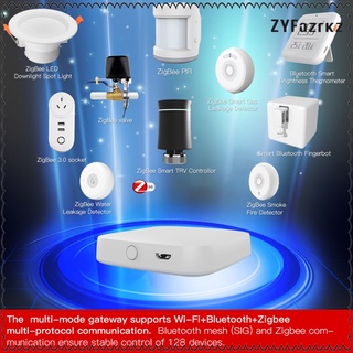 Multi-mode Intelligent Cordless Gateway APP/Voice Controlling Home Assistant (1)